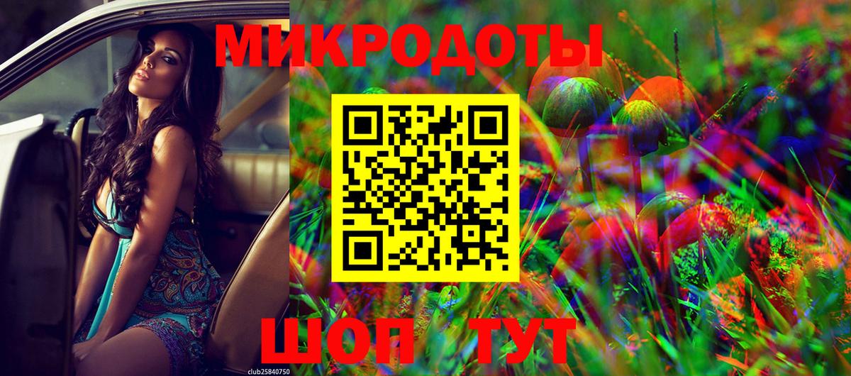 Аргун  Галлюциногенные грибы GOLDEN TEACHER  Вход с VPN 