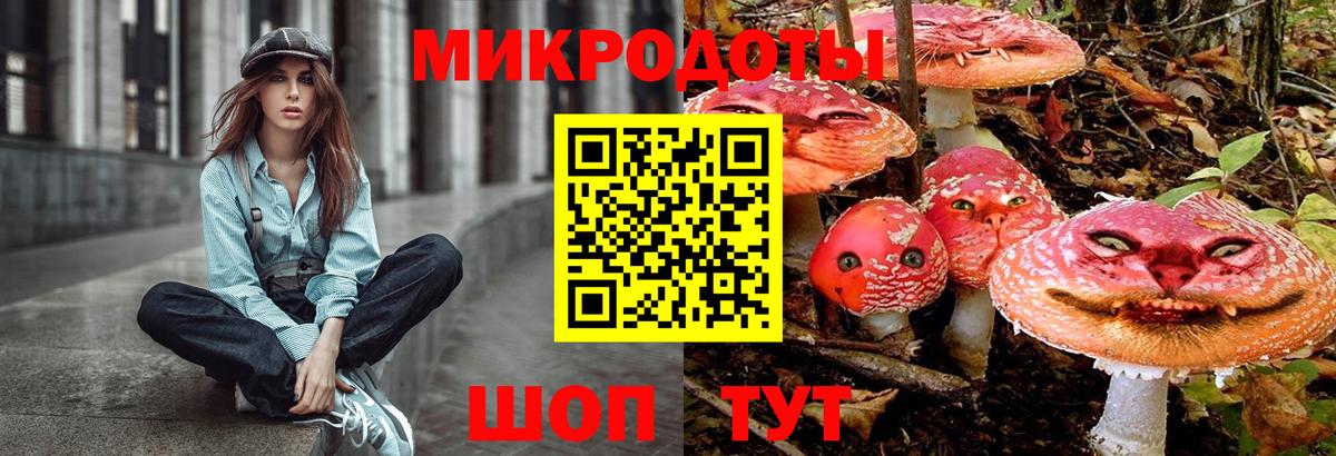 Галлюциногенные грибы GOLDEN TEACHER Аргун